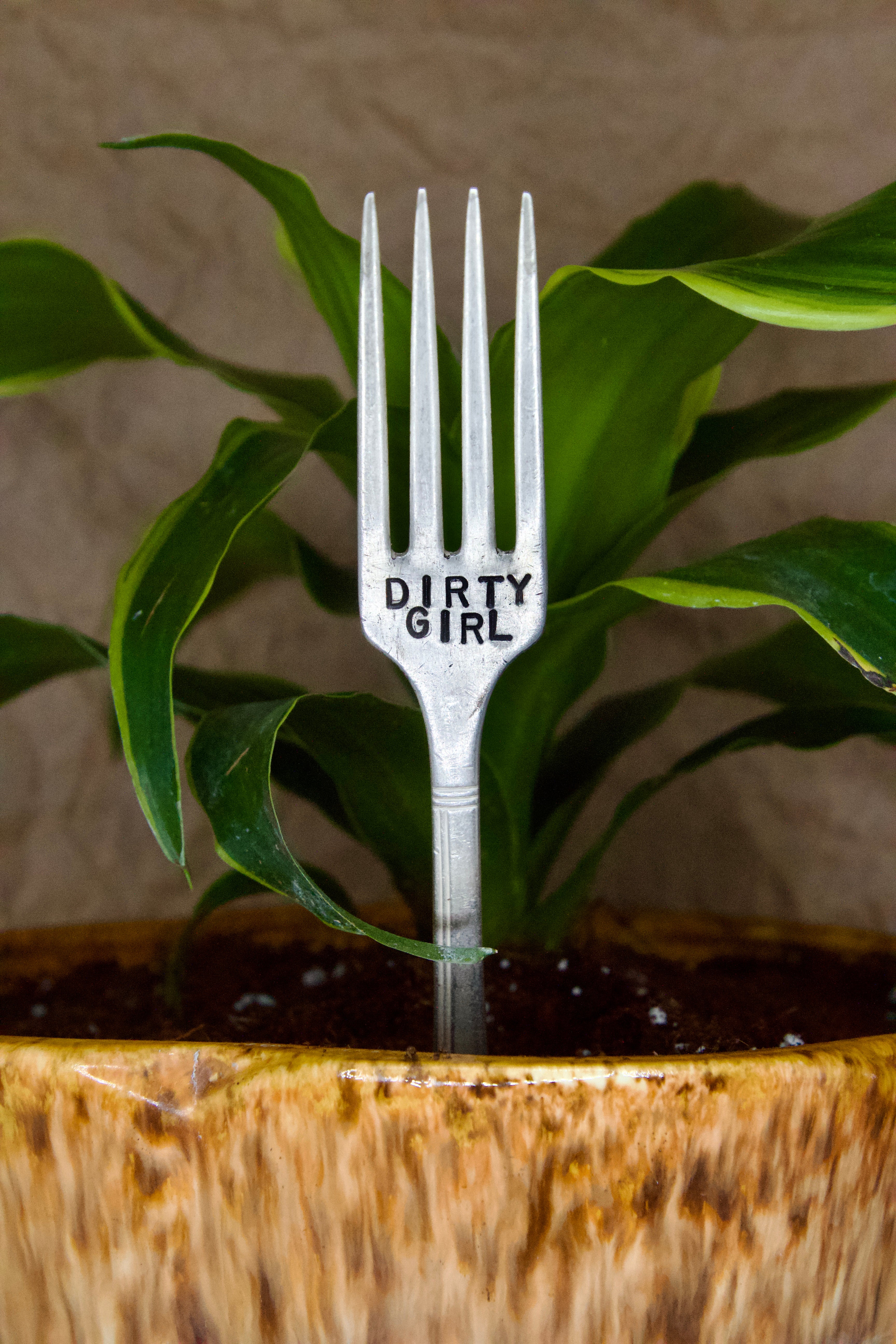 Fork Plant Stakes