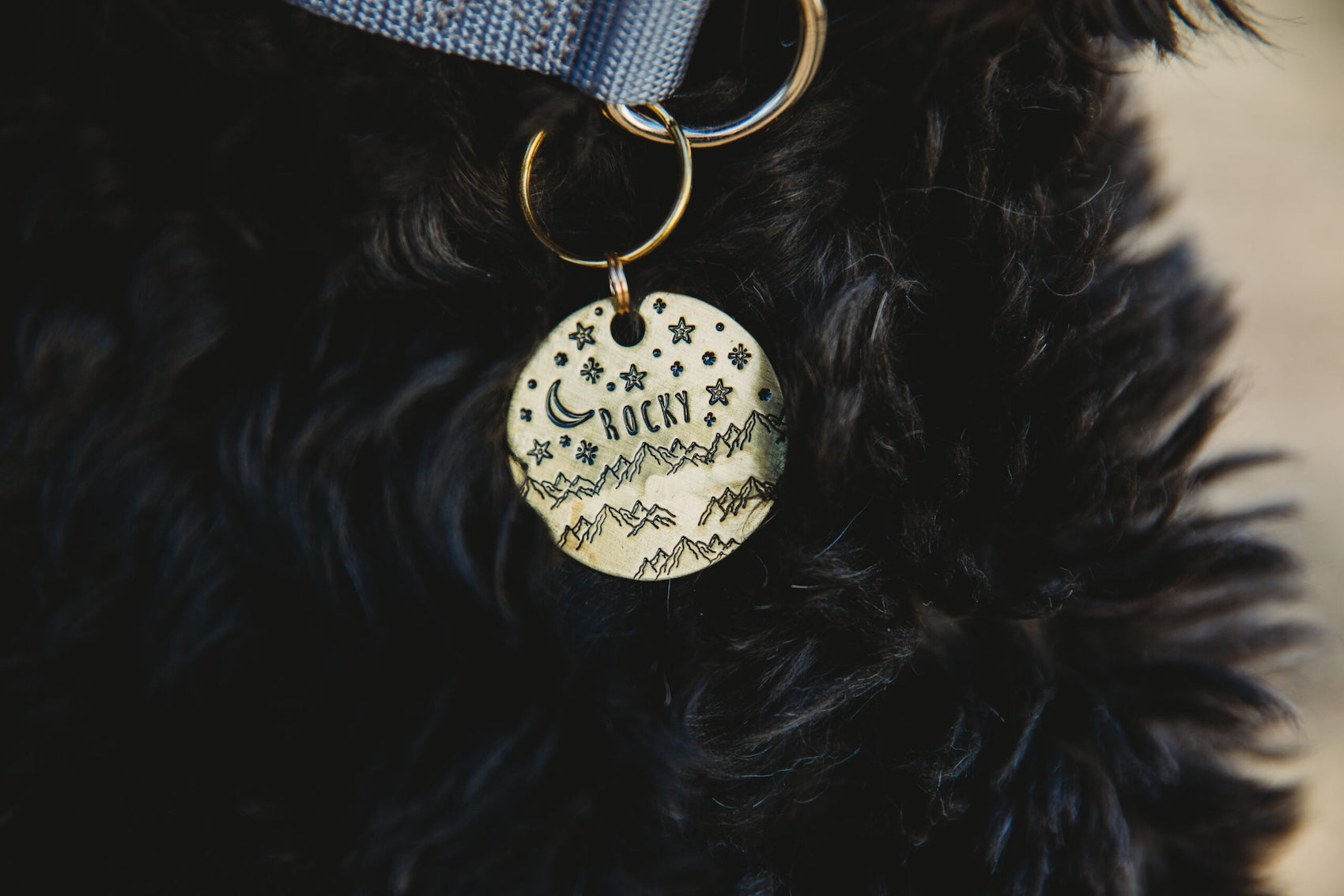 Dog Tag