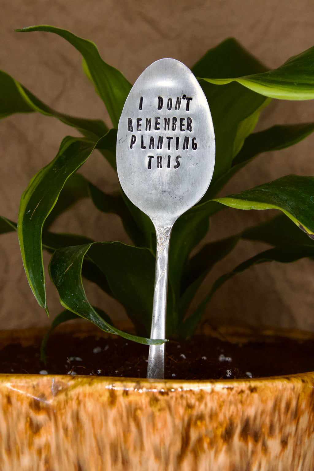 Spoon Plant Stakes