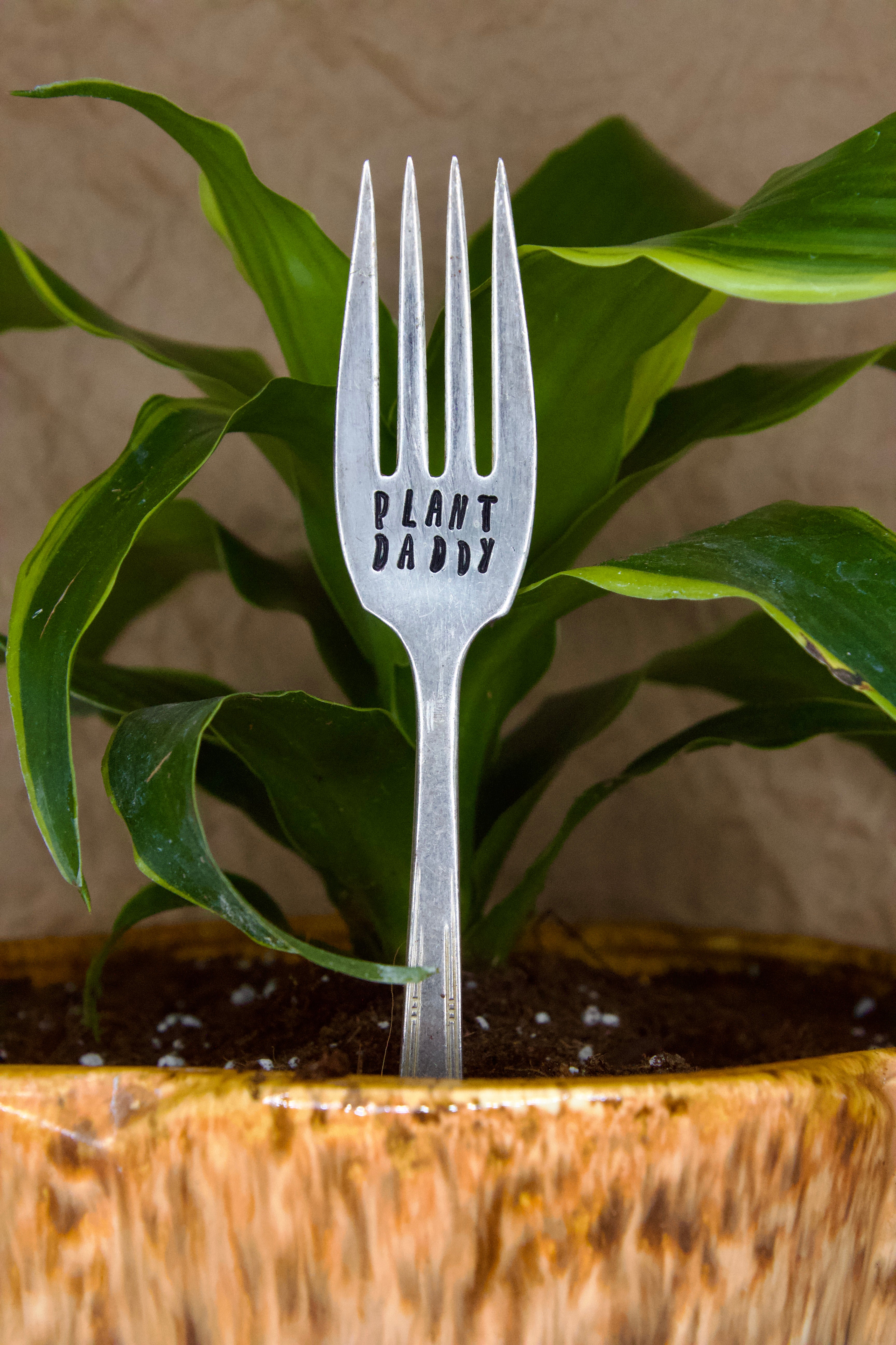 Fork Plant Stakes